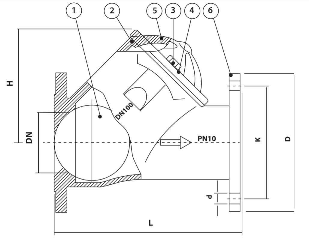 Ball Check Valve SS 316 - Ardani Valves